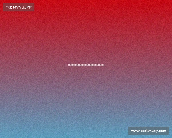 赛事登记员全面解析：职责技能挑战与未来发展路径详解